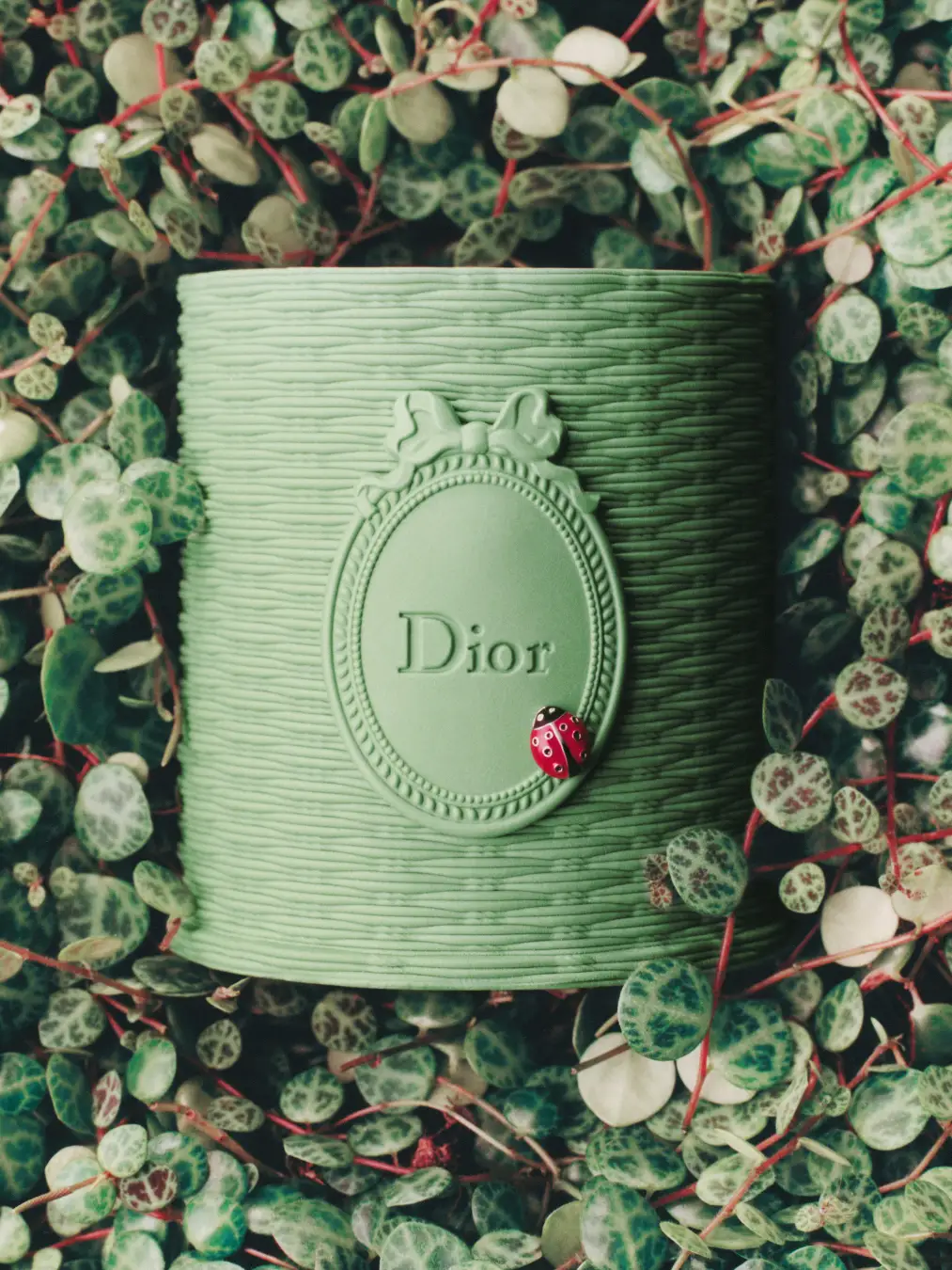 葉を背景にしたグリーンのDiorキャンドル